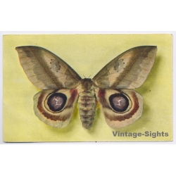 vintage postcard
