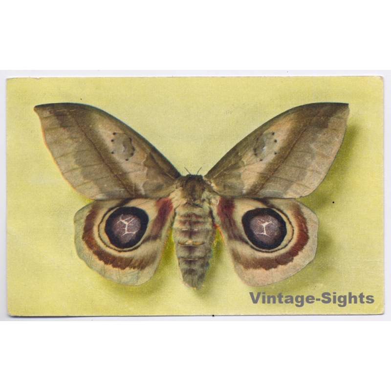 vintage postcard