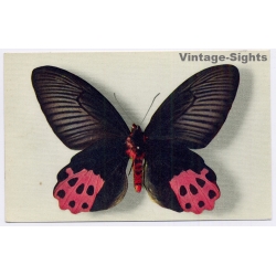 vintage postcard