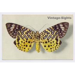 vintage postcard