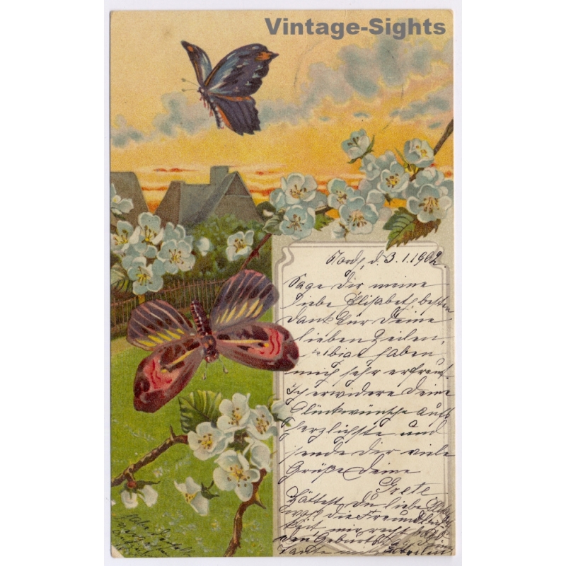 vintage postcard