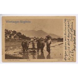 Garoet Garut - Java / Indonesia: Plowing With Buffaloes Karbouwen Ploeg (Vintage PC 1921)