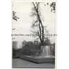 Stuttgart: Schlossgarten - Fountain - Kunstgebäude (Vintage Photo B/W 1963)