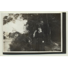 Stuttgart / Germany: Blick Vom Hasenberg / Panorama (Vintage Photo B/W 1931)