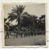 Congo - Belge: Public Force Soldiers Lined Up in Order / Rifles (Vintage Photo ~1920s/1930s)