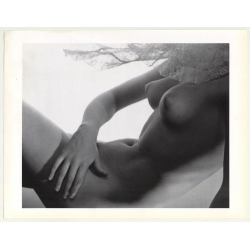 Female Nude Study *5 (1992 Sheet: Horst P. Horst 27.5 x 35.5 CM)