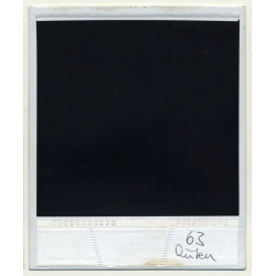 Photo Art: Wooden Logs II (Vintage Polaroid SX-70 1980s)