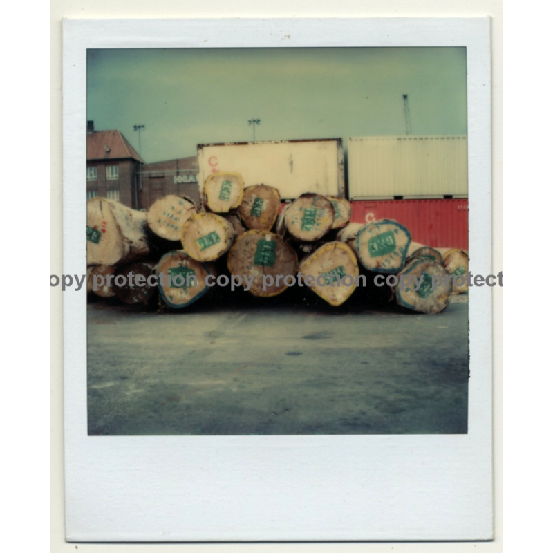 Photo Art: Wooden Logs III (Vintage Polaroid SX-70 1980s)