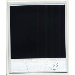 Photo Art: Wood Logs IV (Vintage Polaroid SX-70 1980s)