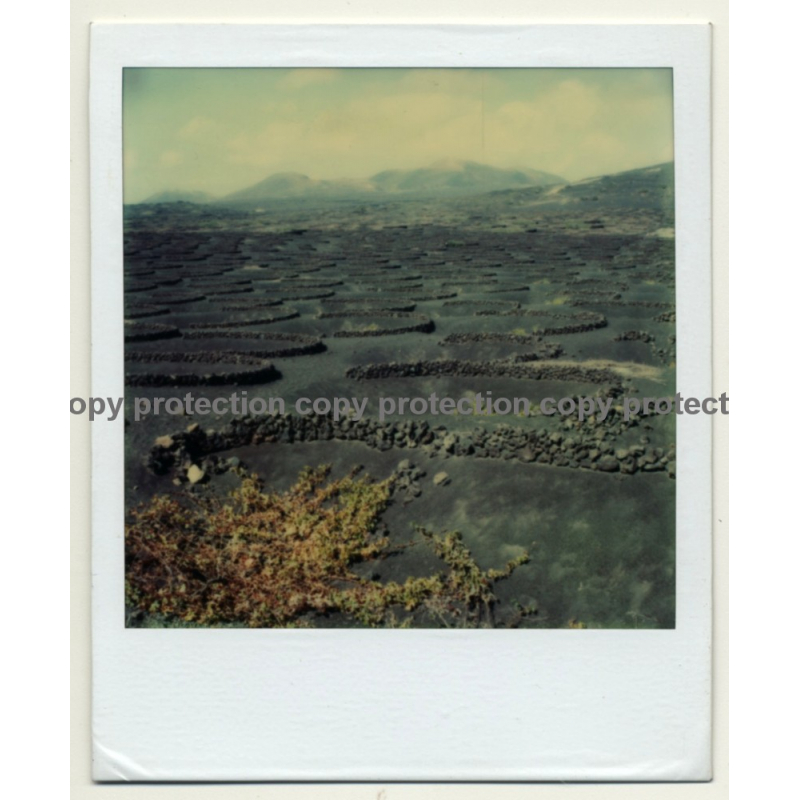 Photo Art: Rock Circles (Vintage Polaroid SX-70 1980s)
