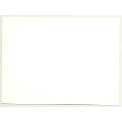 Close-Up Of Female Curlyhead *2 / Hair - Shampoo (Vintage Advertisement Photo 1980s)