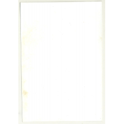 Close-Up Of Pretty Natural Brunette Woman's Face (Vintage Photo 1970s)