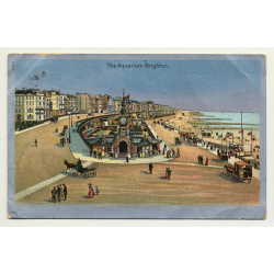 UK: The Aquarium, Brighton (Vintage Postcard 1906)