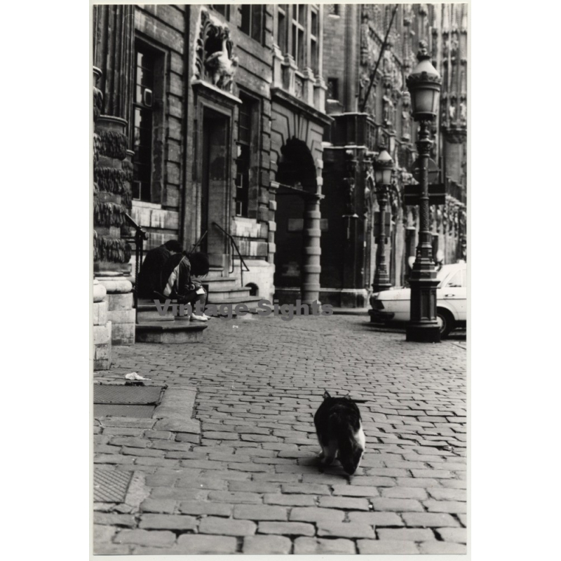 Lydia Nash / Bruxelles: Street Scene - Kids- Cat (Vintage Photo 1980s/1990s)