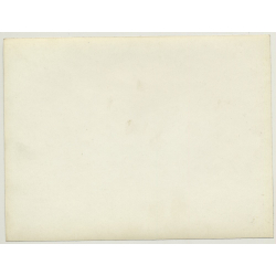 Netherlands: Workers - Sewer Construction - Canal *2 (Vintage Photo ~1920s)