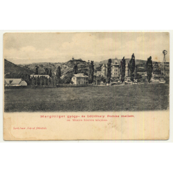 Margitliget / Hungary : View Over Resort (Vintage Postcard ~1910s)