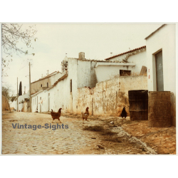 Lydia Nash / Bruxelles: Chickens On Run (Vintage Photo 1980s/1990s ~ DIN A4)