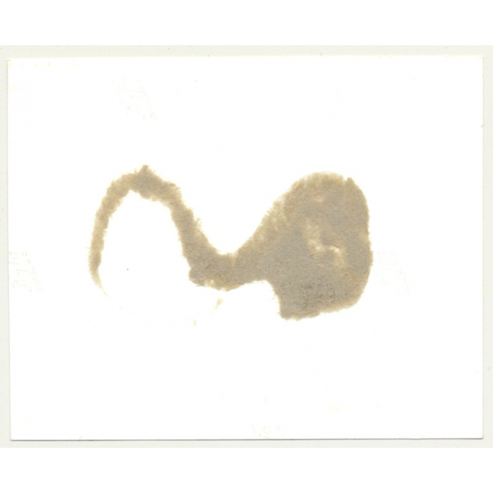 Upper Body Of Classy Topless Woman / Smiles At Camera (Vintage Photo B/W 1965)