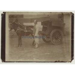 Chinese Man In Front Of Donkey Cart / Soncoho - 辮子 / 辫子(Vintage Photo ~ 1900s/1910s)