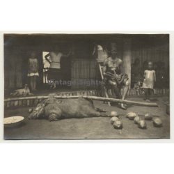 Congo: Tribe Chief & Impaled Wild Pig / Potamochoerus Porcus (Vintage Photo ~1940s/1950s)