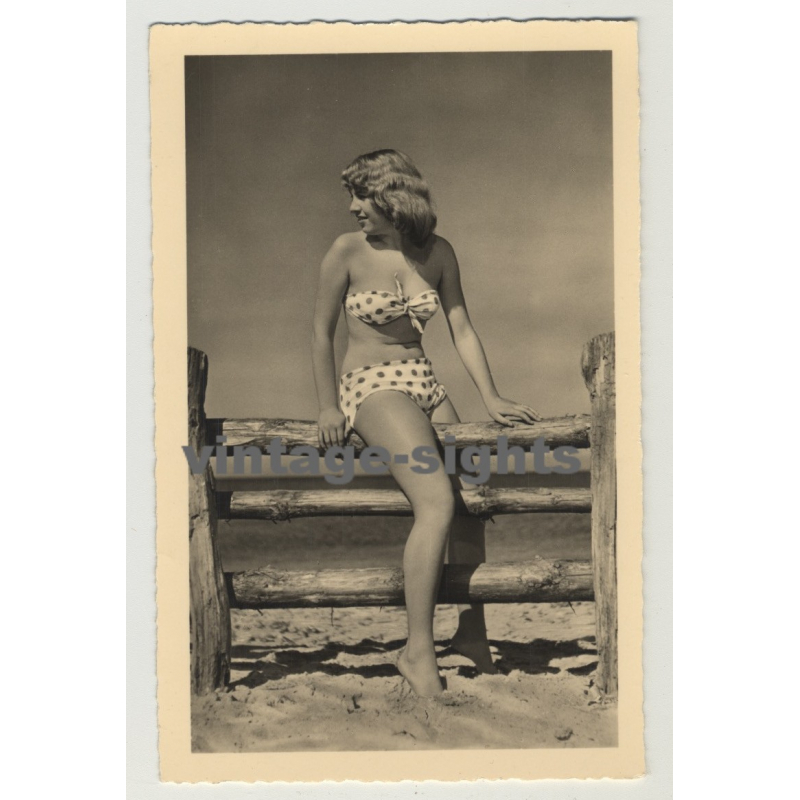 Young Woman On Wood Fence / Pin-Up - Polka Dotted Bikini (Vintage Photo Postcard: GDR 1958)