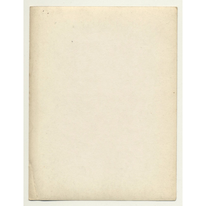 Congo-Belge: Railroad Track Near River Shore / Palm Tree (Vintage Photo Sepia ~1910s/1920s)