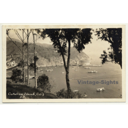 California / USA: Chenango Valley State Park (Vintage Postcard RPPC 1931)