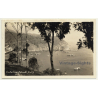 California / USA: Chenango Valley State Park (Vintage Postcard RPPC 1931)