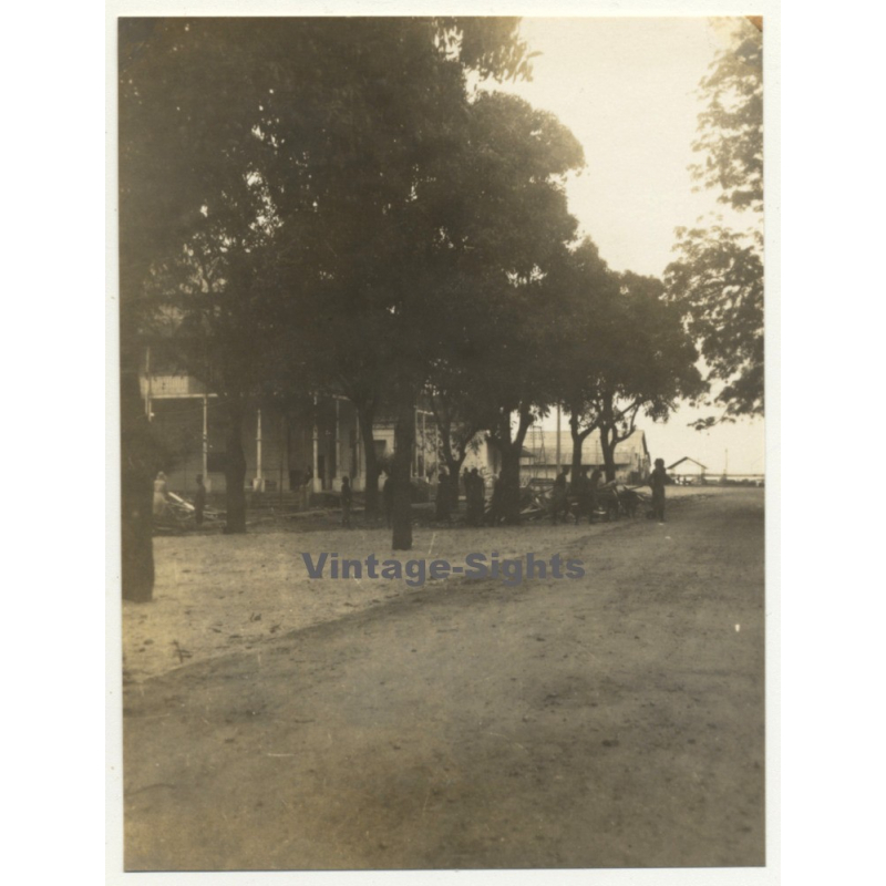 Boma / Congo-Belge: Street Scene - Tree Avenue (Vintage Photo 1930)