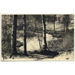 Forest Still Life - Lake - Trees (Vintage RPPC Belgium ~1930s/1940s)