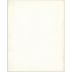 Long Leg Study / Woman Lifts Skirt (Vintage Photo 1980s Wolfgang Klein DIN A4+)