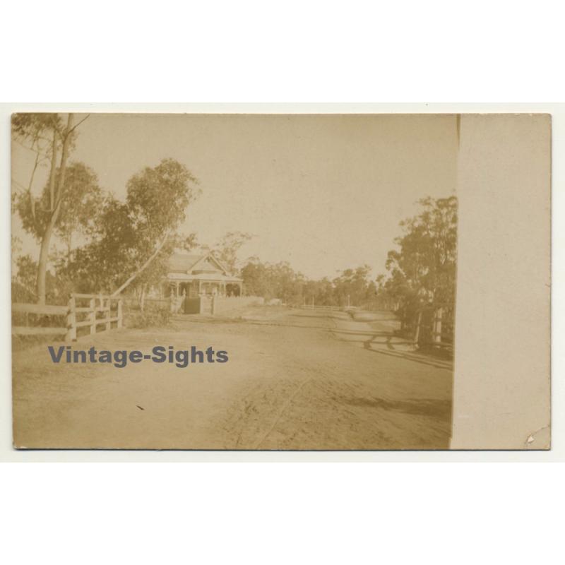 Congo-Belge: Colonial Farm - Street View - Trees (Vintage RPPC ~1910s/1920s)