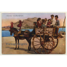 Taormina / Sicily: Carro Siciliano / Donkey With Cart (Vintage Postcard)