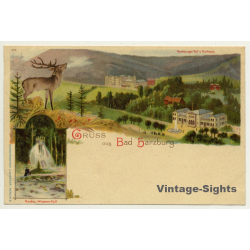Germany: Gruss Aus Bad Harzburg / Radau Wasserfall (Vintage PC Litho ~1900s)