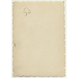 Ixelles / Belgium: Guy In Front Of Horse-Drawn Carriage / 28 Caulier (Vintage Photo ~1920s)