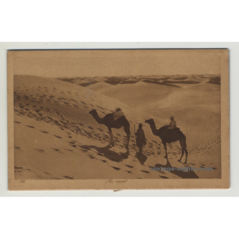 Lehnert & Landrock: Au Désert / Camels In The Desert *172