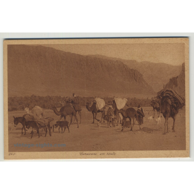 Lehnert & Landrock: Caravanne En Route / Camels & Donkeys *240