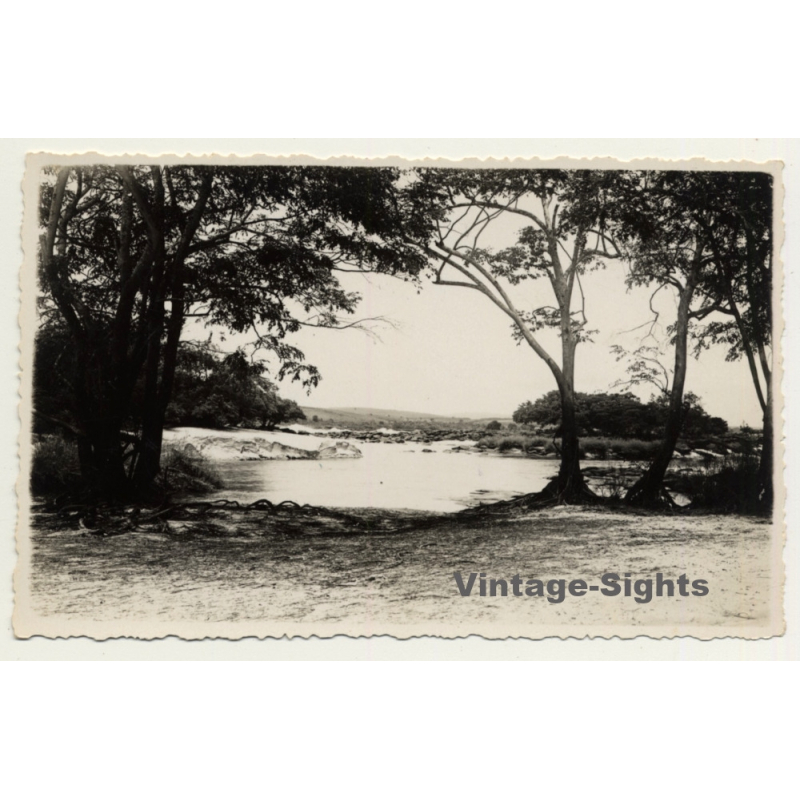 Congo Belge: River Shore - Trees - Landscape (Vintage Photo ~ 1930s/1940s)