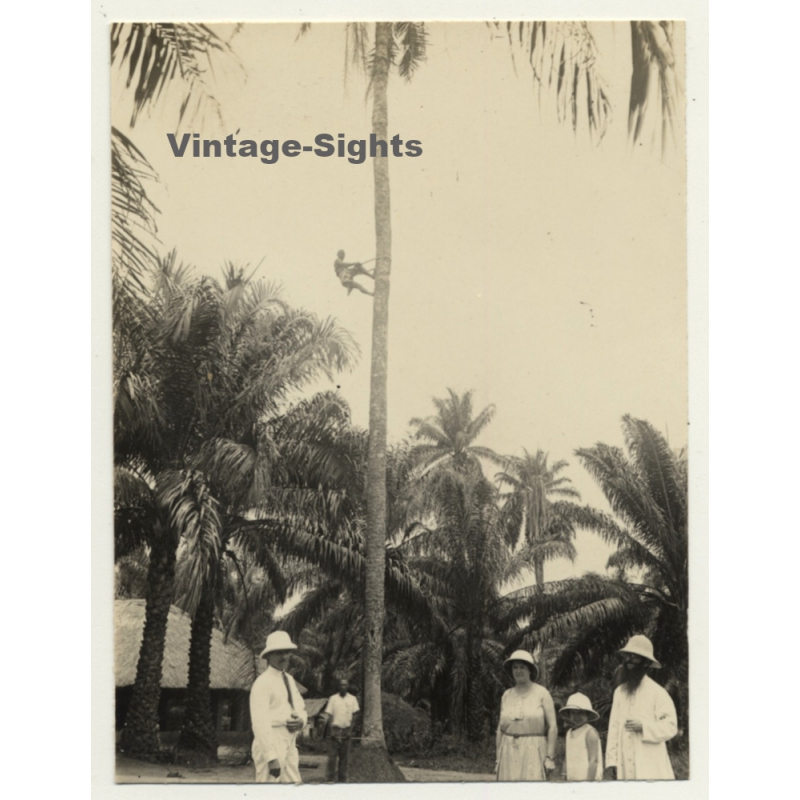 Congo Belge: Indigenous Climbs Up Palm Tree / Colonial Family & Missionary (Vintage Photo ~1930s/1940s)