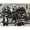 Francesco Rosi: Salvatore Giuliano / P. Cammarata - Horses (Vintage Press Photo1962)