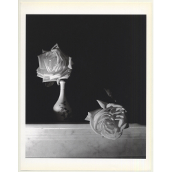 Horst P. Horst: White Roses 1989 (Sheet 1992: Form Horst 27 x...