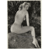 Racy Blonde Nude On Tree Trunk / Pin-Up (Vintage Photo France 1950s)