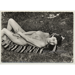 Busty Nude Beauty Relaxes On Blanket - Nature / Pin-Up (Vintage Photo France 1950s)