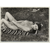 Busty Nude Beauty Relaxes On Blanket - Nature / Pin-Up (Vintage Photo France 1950s)