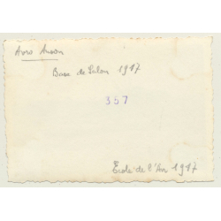 Salon-de-Provence: Avro Anson *2 - École De L'Air - Base De Salon (Vintage Photo 1947)