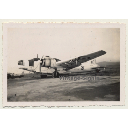Salon-De-Provence: Vickers Wellington (Air Sea Rescue) - École De L'Air (Vintage Photo...