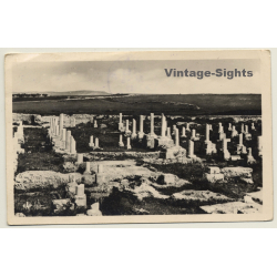 Carthage / Tunisia: Basilique De Damous el-Karita (Vintage RPPC 1949)
