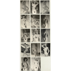 Set Of 14 Pin-Up Photos / Nudes (Vintage Photos 2nd Gen. ~1950s)