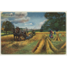 Germany: Horse Harvester / Pferde Mähdrescher - Kali (Vintage PC)