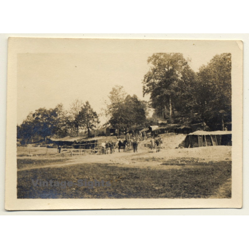 La Harazée / Argonne: Camp, Soldats & Mules WW1 (Vintage Photo ~1910s) La Harazée / Argonne: Camp, Soldats & Mules WW1 (Vintage Photo ~1910s)